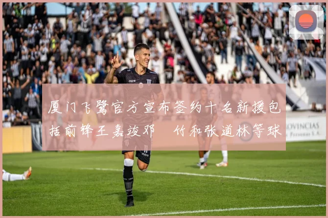 厦门飞鹭官方宣布签约十名新援包括前锋王嘉竣邓棽竹和张道林等球员